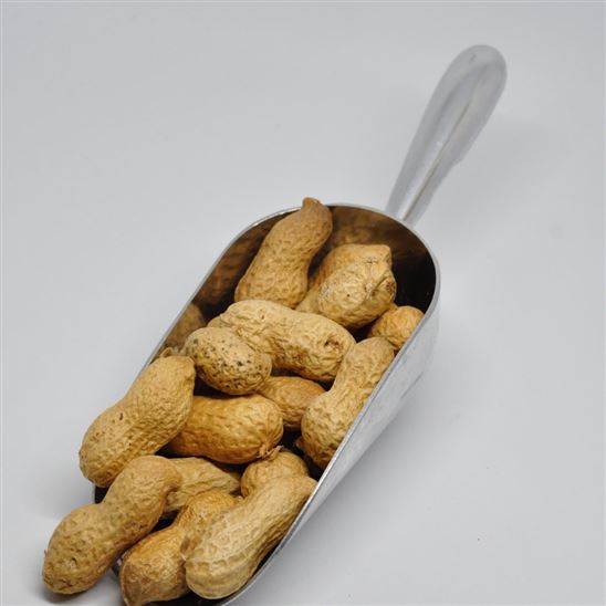Cacahuete con cáscara tostado