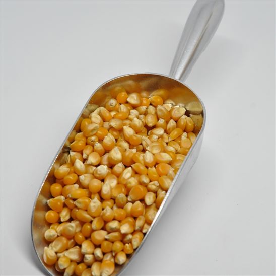 Maíz para palomitas