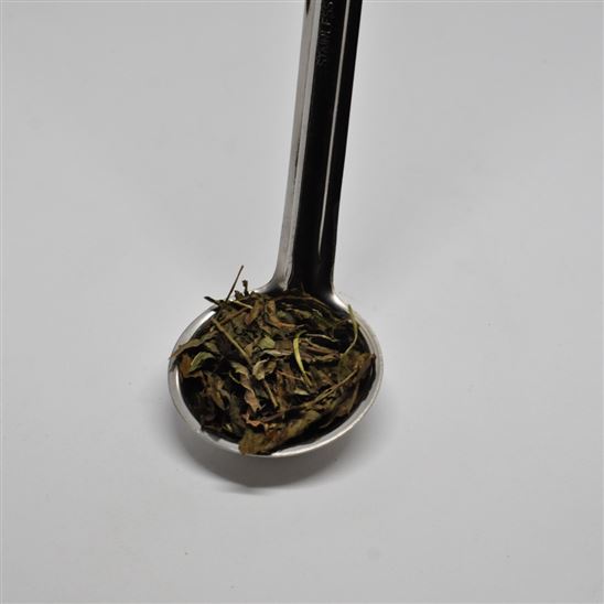 Menta piperita en hojas