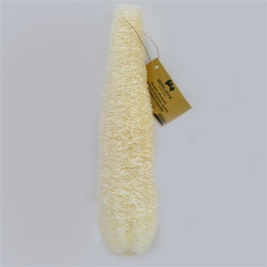 Fruto de luffa entero