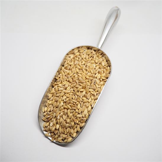Trigo en grano ECO