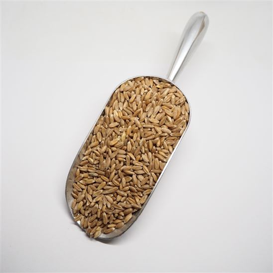 Espelta en grano ECO